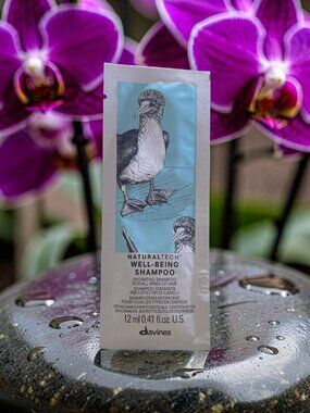 Davines NaturalTech Well Being Hydrating Shampoo 0.41 oz  Sample
